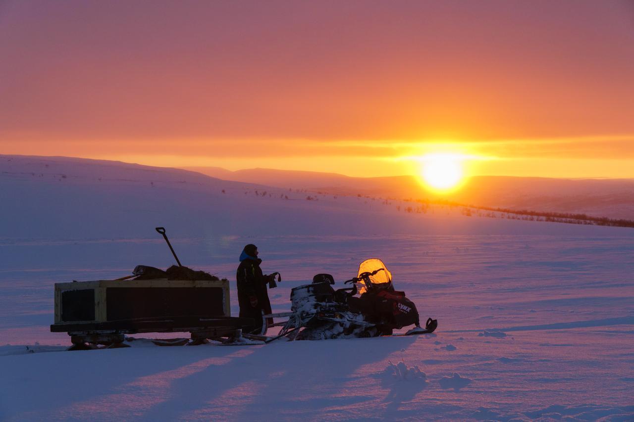 Arctic Land Adventure Glass Igloos Kilpisjärvi Exteriör bild