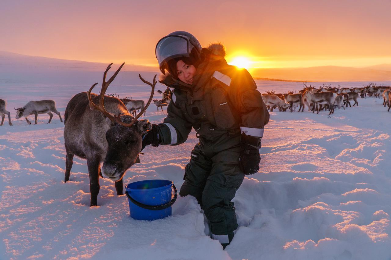 Arctic Land Adventure Glass Igloos Kilpisjärvi Exteriör bild