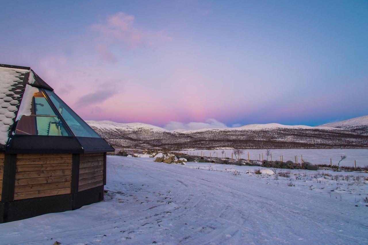 Arctic Land Adventure Glass Igloos Kilpisjärvi Exteriör bild