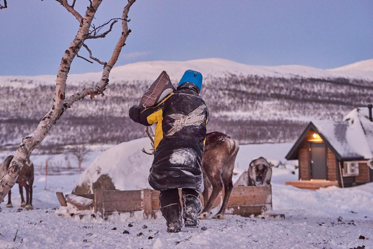 Arctic Land Adventure Glass Igloos Kilpisjärvi Exteriör bild